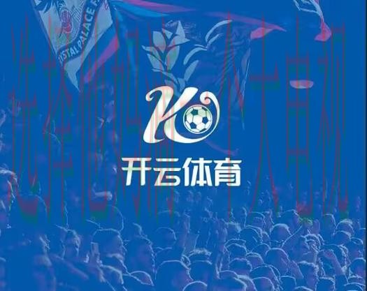 开云体育科技控股集团发展解析